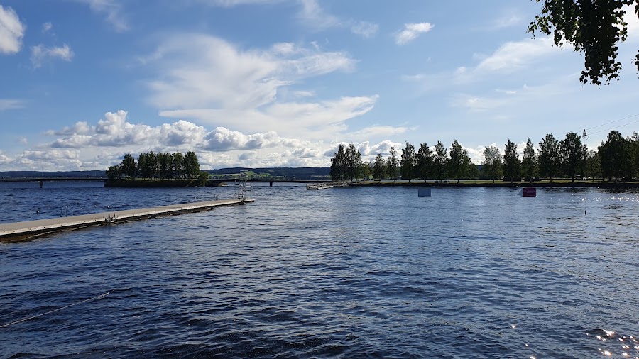 Surfbukten