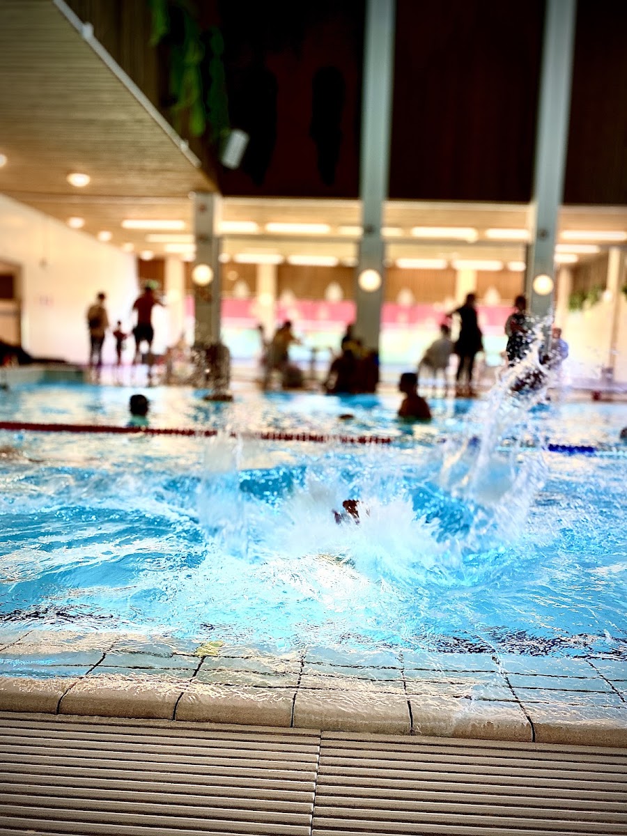 Dalsjöbadet